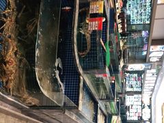 -骏莱海鲜鱼港(五角场店)