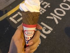 -富豪雪糕车流动点(尖沙咀店)