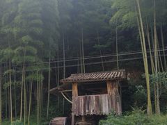-林坑古村落
