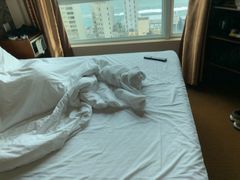 -香港华美达海景酒店