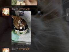 -半岛宠物医院24小时·内窥镜·牙科·碎石中心(府城大道店)