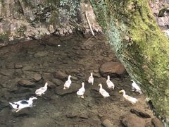 -宁波五龙潭景区