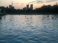 -陕西省体育训练中心-游泳馆