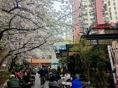 -玛格萝妮比萨屋(四平店)