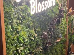 -生如夏花泰式火锅(鹭洲里店)