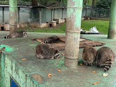 -秦皇岛野生动物园