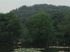-白马涧龙池景区