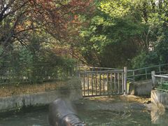 -宁波野生动物园