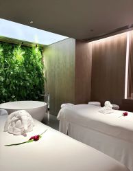 -VELEE·SPA高定疗愈会所