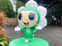 -东平国家森林公园