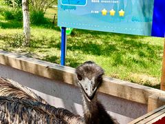 -水上乐园·欢乐世界