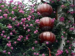 -老门东历史文化街区
