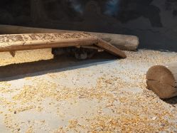 -酷嗒动物文化乐园(cutezoo西溪乐天城店)