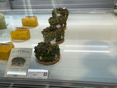 -TD66高山铁皮石斛养生茶饮