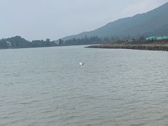 -坝光海滩