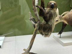 -国家自然博物馆