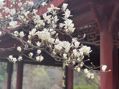 -堤角公园