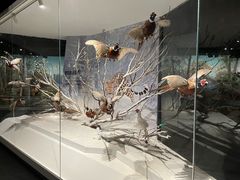 -长江文明馆