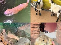 -正佳雨林生态植物园