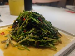 -滇铺子·云南特色菜·第九届野生菌美食节(曲靖万达店)