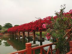 -那考河湿地公园