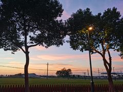 -小陆莲花蟹园农家乐(莲花岛店)