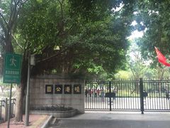 -晓港公园