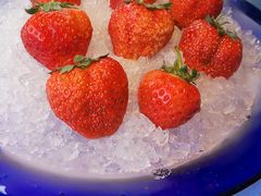 -四季民福烤鸭店(前门店)