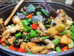 -华华火锅牛蛙(祥宾店)
