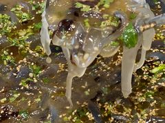 -鱼市酒店(威海水产批发市场店)