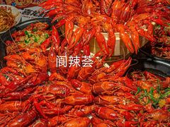 -阆辣荟餐饮(老味道8年·古城店)