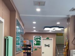 -天使宠物医院·犬猫分诊(彩虹店)