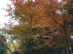 -深业半汤御泉庄温泉
