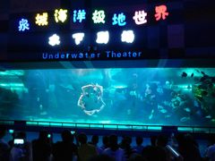 -泉城欧乐堡海洋极地世界
