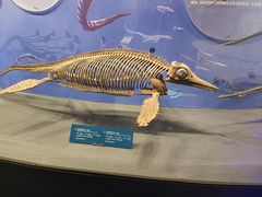 -国家自然博物馆