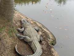-南宁市动物园