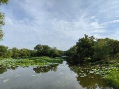 -西溪国家湿地公园