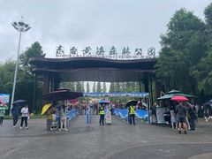 -黄海国家森林公园