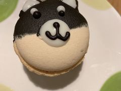 -柴务处·柴犬主题狗咖