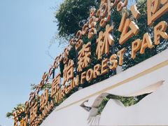 -西双版纳原始森林公园