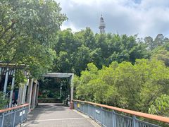 -金鸡山公园