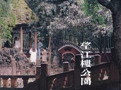 -望江楼公园