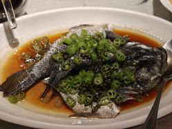 -新锦江大酒店·宴会厅·婚宴