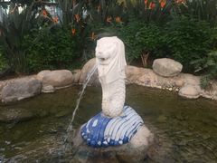 -南宫五洲植物乐园