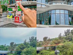 -点都德(广州白云山景区南门店)