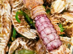 椒盐濑尿虾-贞姨美食·老字号海鲜大排档