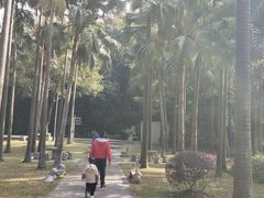 -西樵山风景名胜区-天湖公园