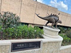-自贡恐龙博物馆