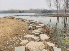 -大兴滨河森林公园