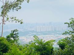 -火炉山森林公园